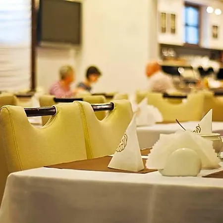 Pod Lwem Hotel
